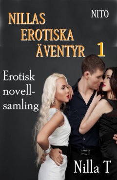 Nillas Erotiska Äventyr 1 : Erotiska noveller  -  Erotik
