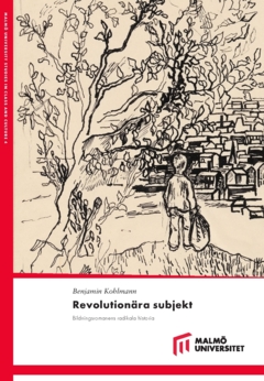 Revolutionära subjekt  : Bildningsromanens radikala historia
